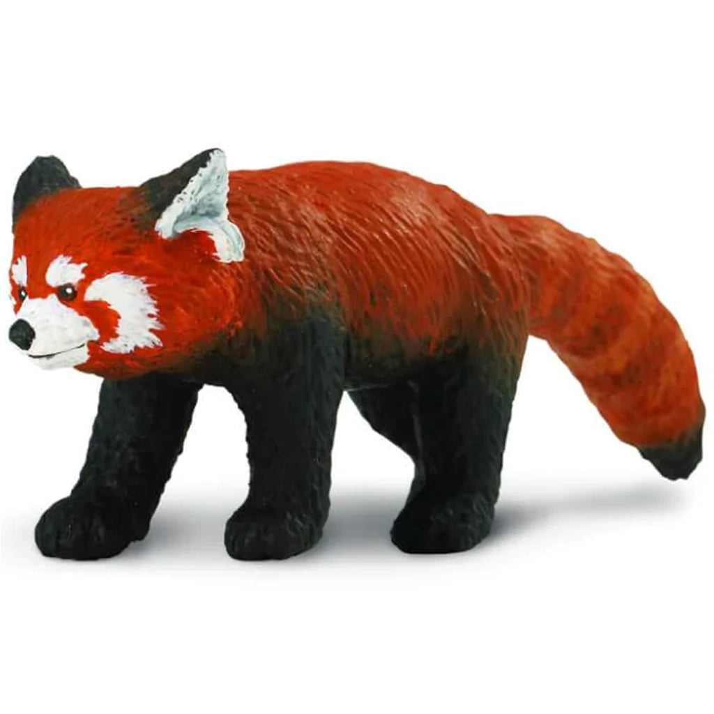 Red Panda 