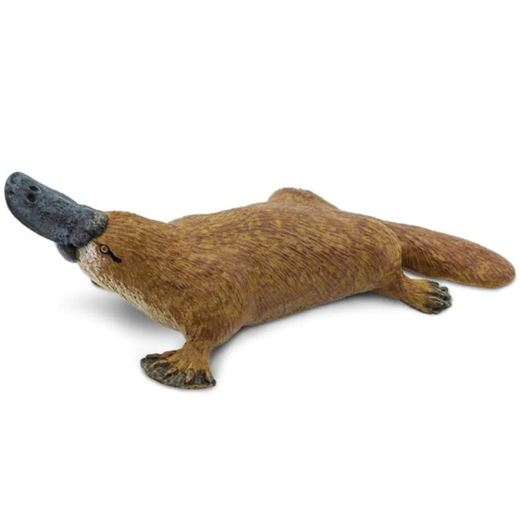 Platypus 