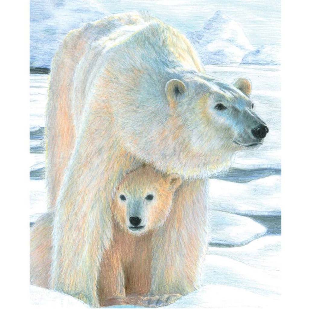 Color Pencil by Numbers Polar Love