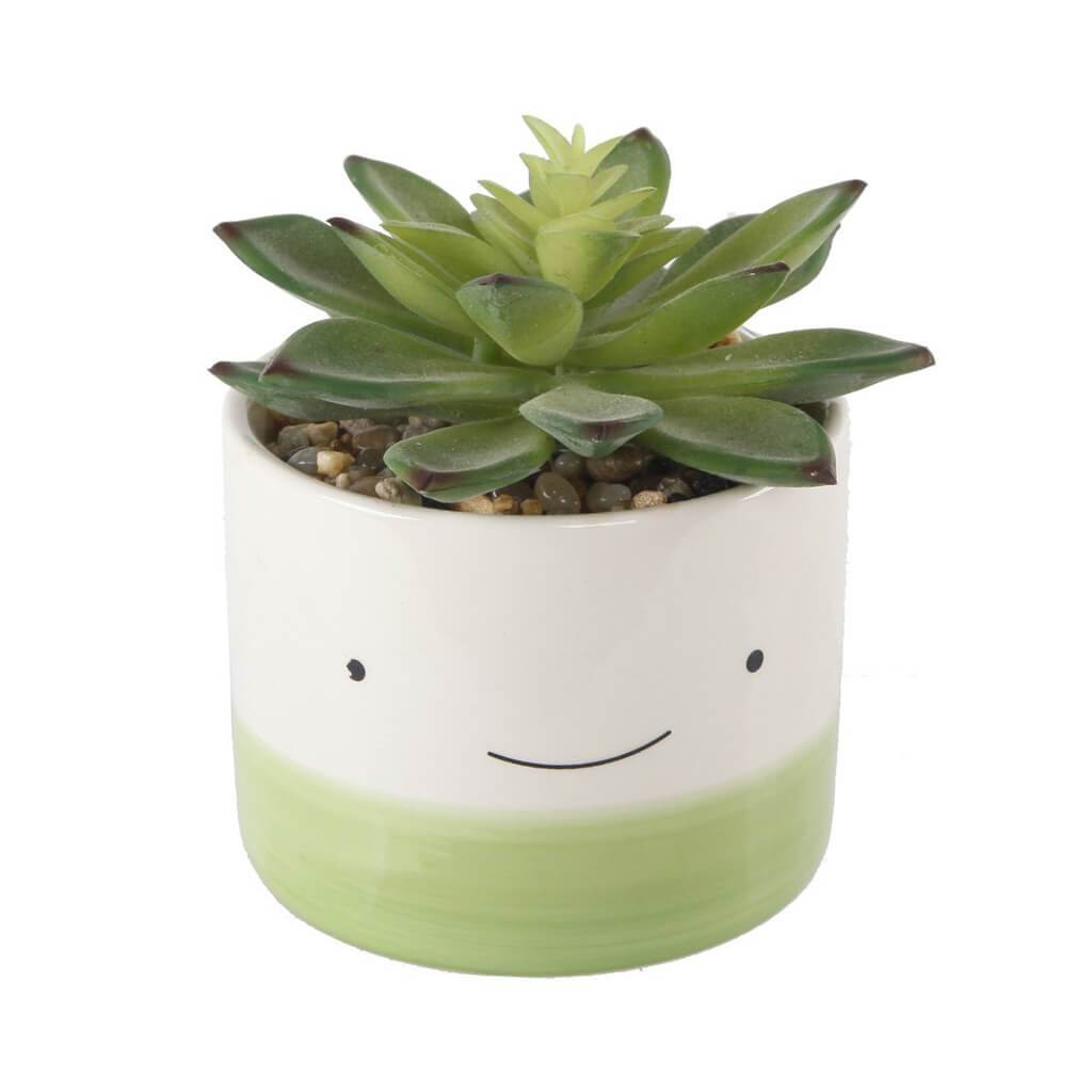 Sm 3A Happy Face Pot Succ Small Green 