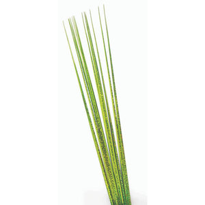 Iridescent Onion Grass Decoration 30in