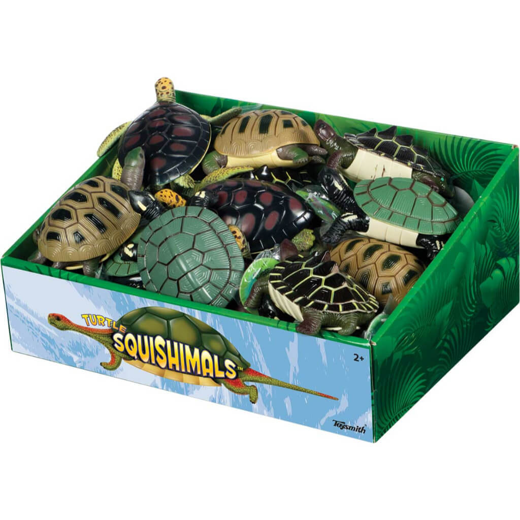 Turtle Squishimals