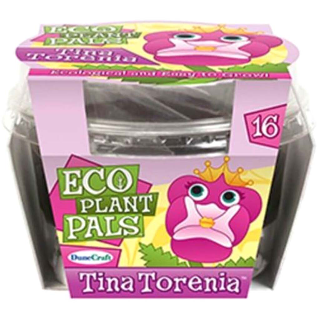 Eco Plant Pals Tina Torenia Pink 