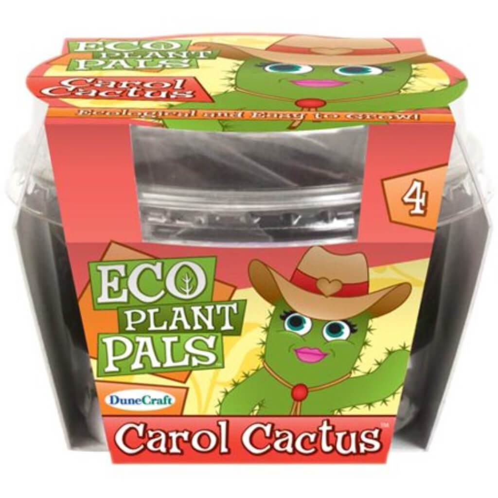 Eco Plant Pals Carol Cactus 