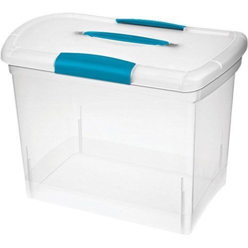 Large ShowOffs Storage Box, Clear 