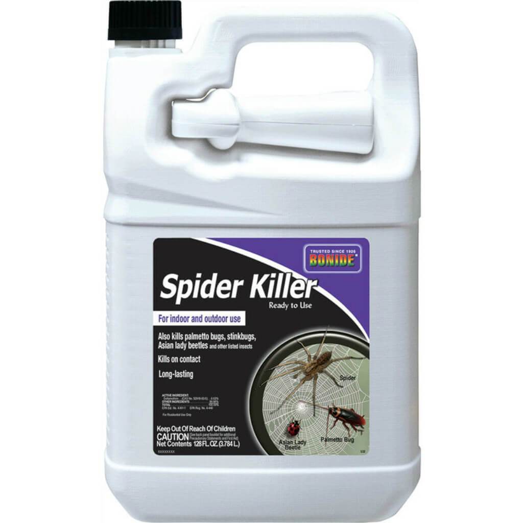 KILLER SPIDER RTU GAL 