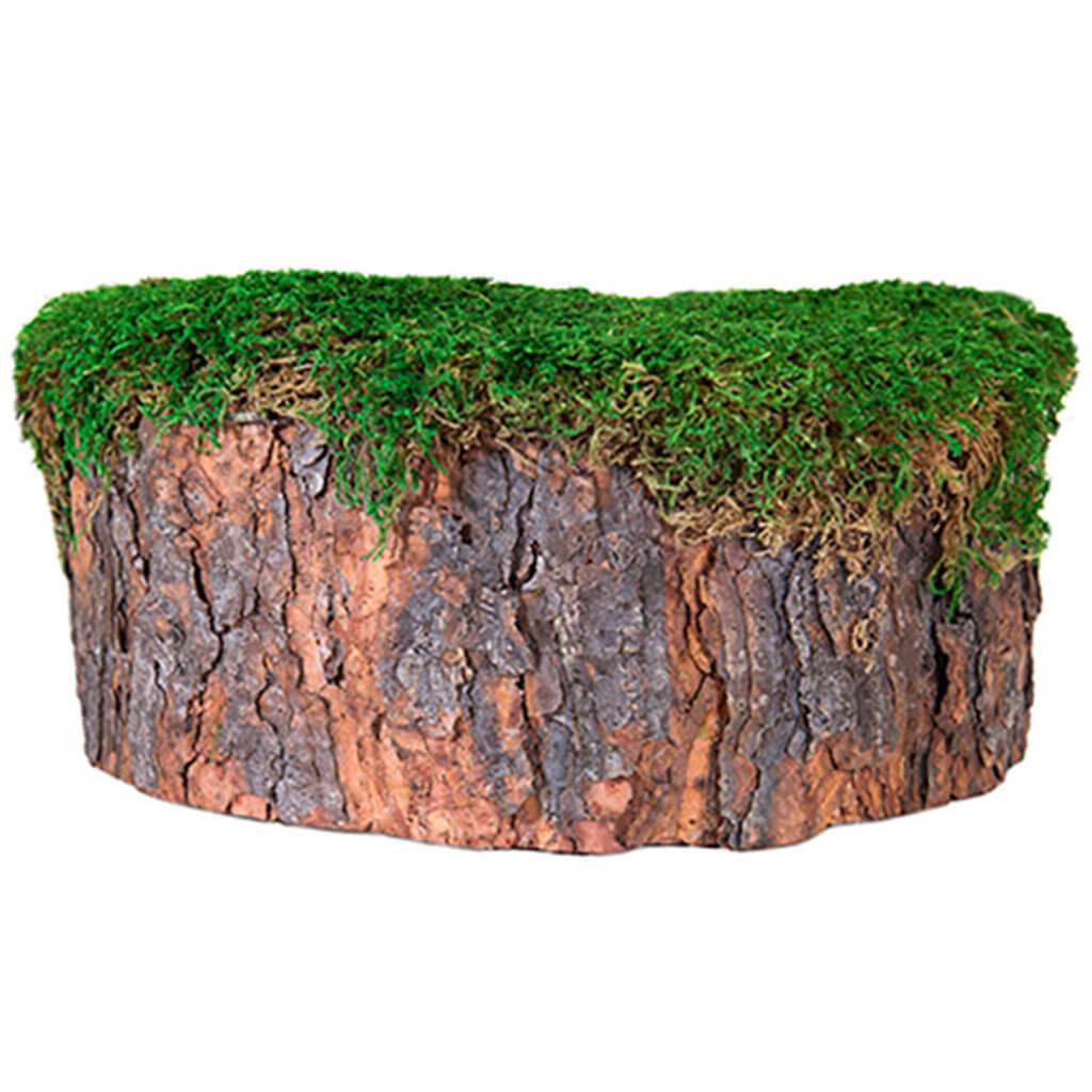 Mossy Tree Stump 10in Dia. 4in Tall Fresh Green