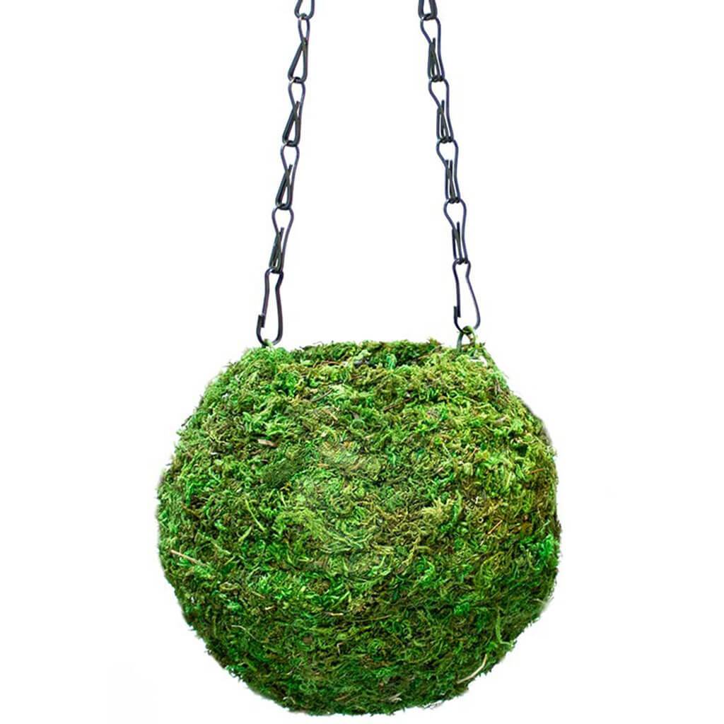 Kokedama Green Moss Ball Planter 6in