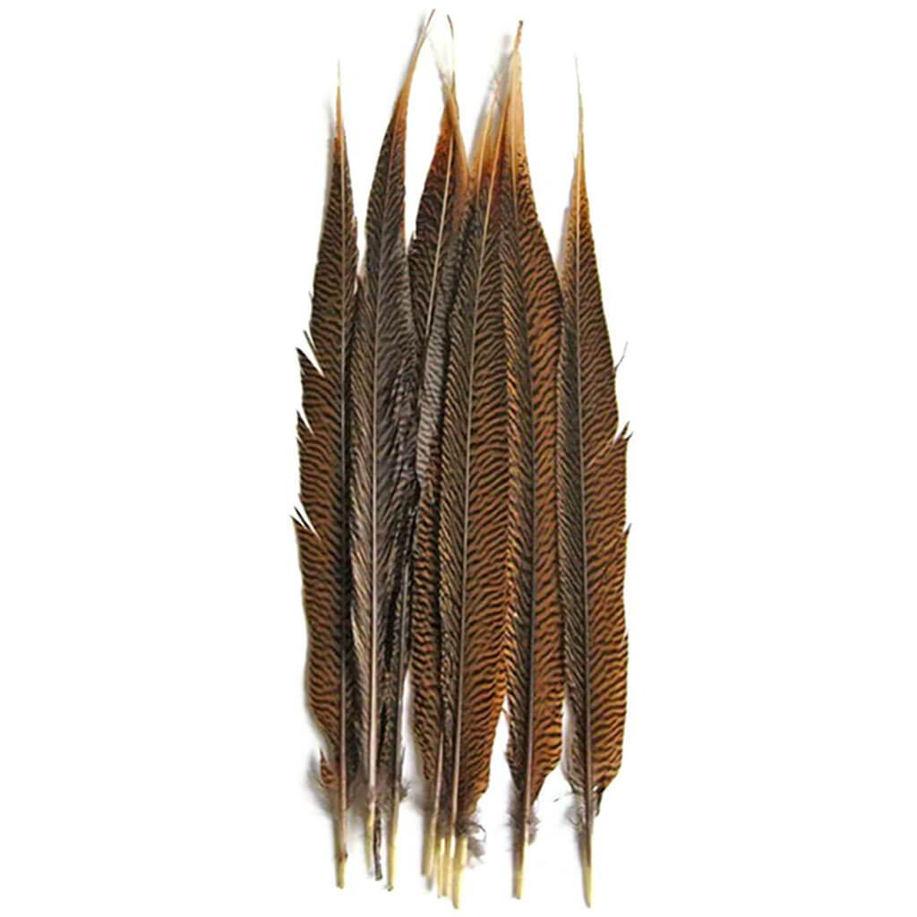 Pheasant Feathers