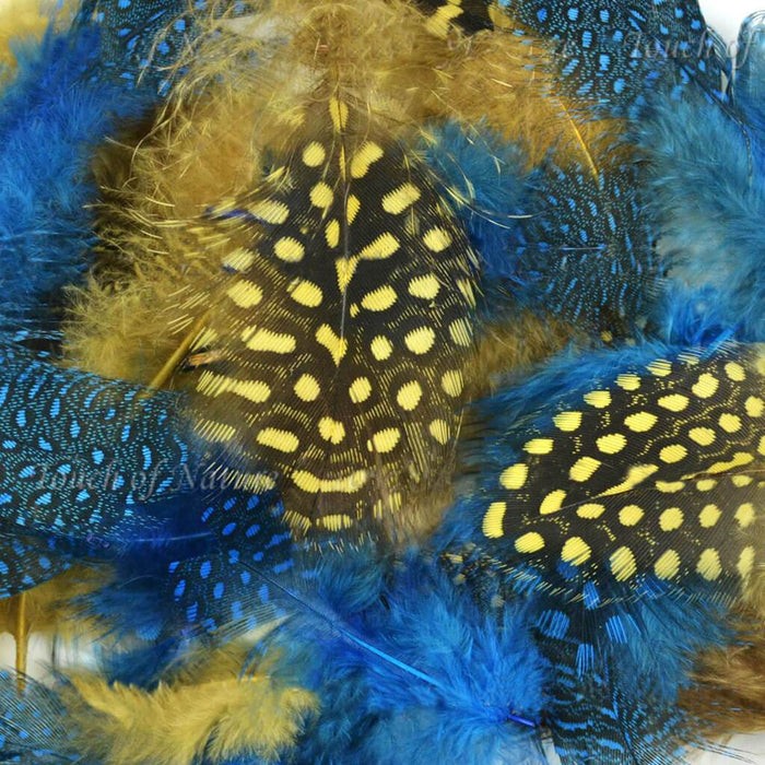 Dyed Guinea 7gm Dark Turquoise/Gold Mix