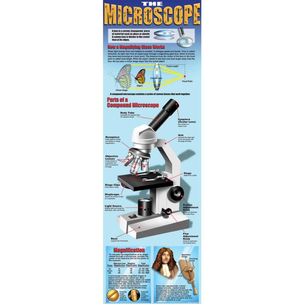 The Microscope Colossal Poster 