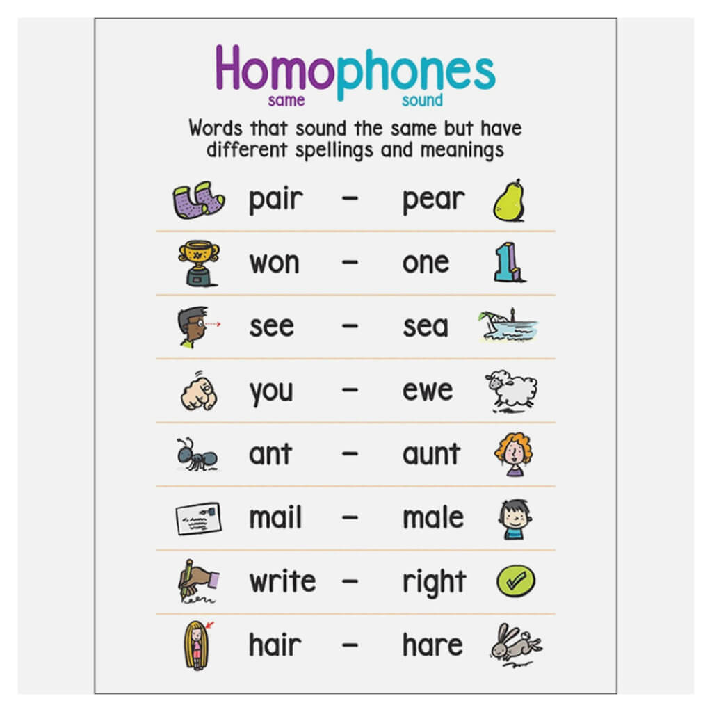 Anchor Chart Homophones