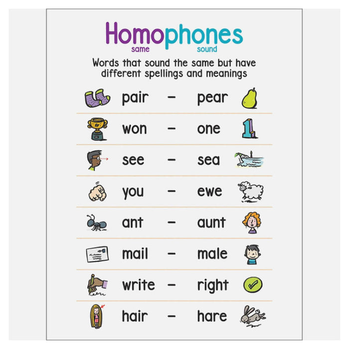 Anchor Chart Homophones