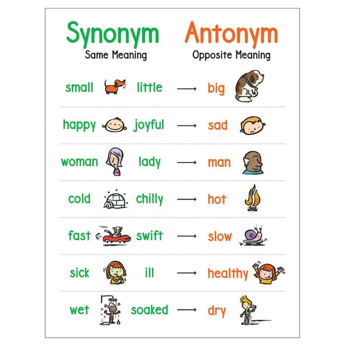 Anchor Chart: Synonym & Antonym