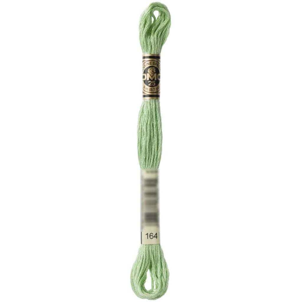 Dmc Floss Light Green Green 