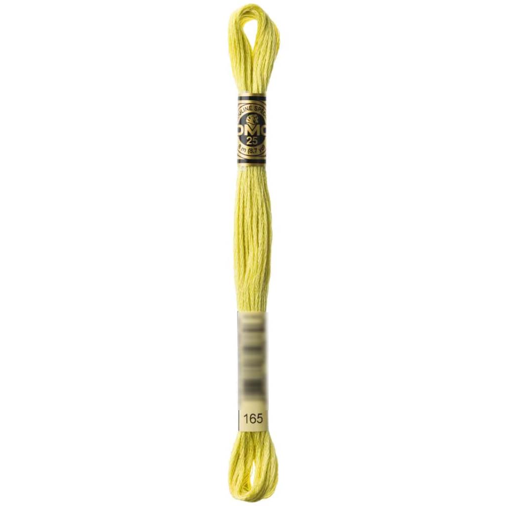 Dmc Floss Bright Green Green 