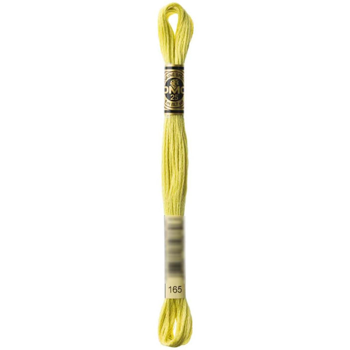 Dmc Floss Bright Green Green 