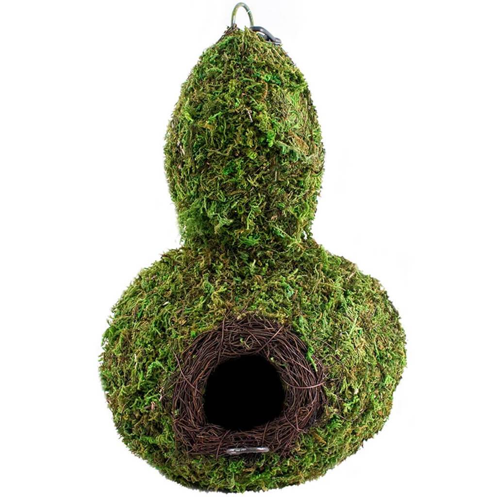 Gourd Woven Birdhouse 7.5in x 12in Fresh Green