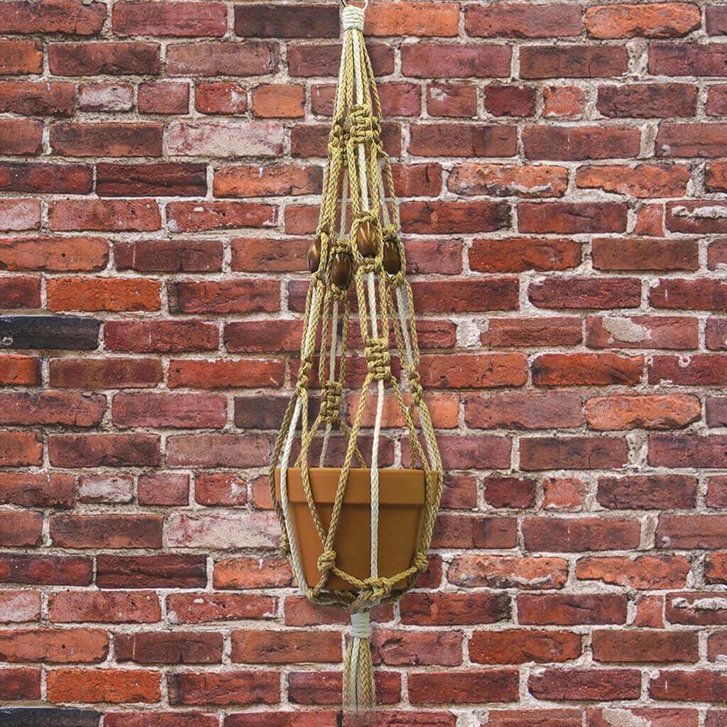 Macrame Plant Hanger Kit