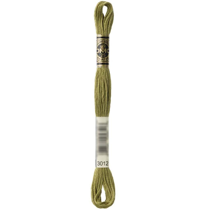 Dmc Floss No.3012 