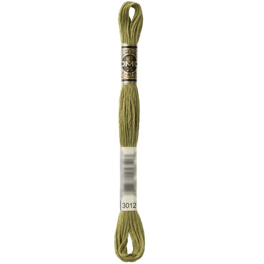 Dmc Floss No.3012 