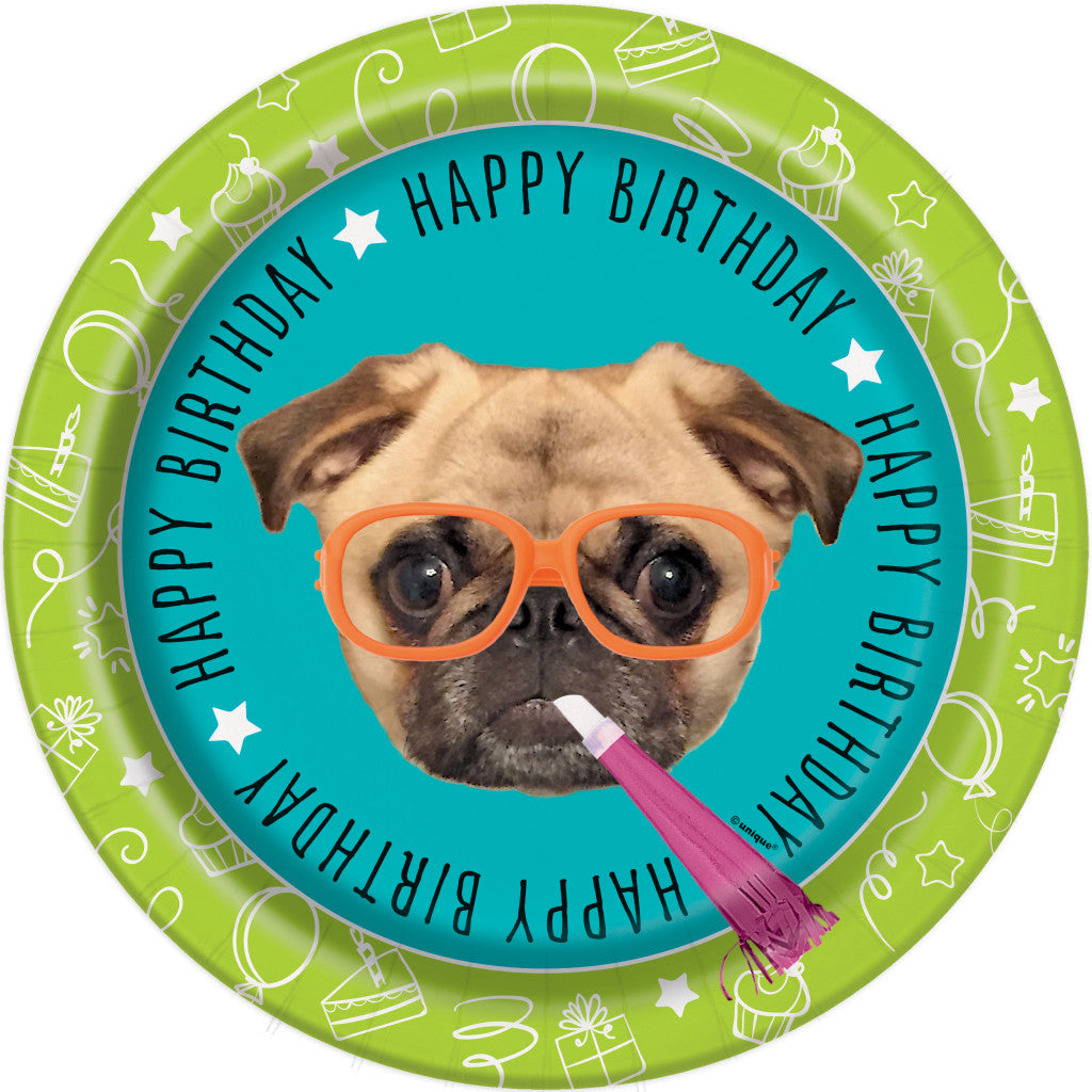 Round Dinner Plates 9in 8ct, Pug Puppy Birthday 