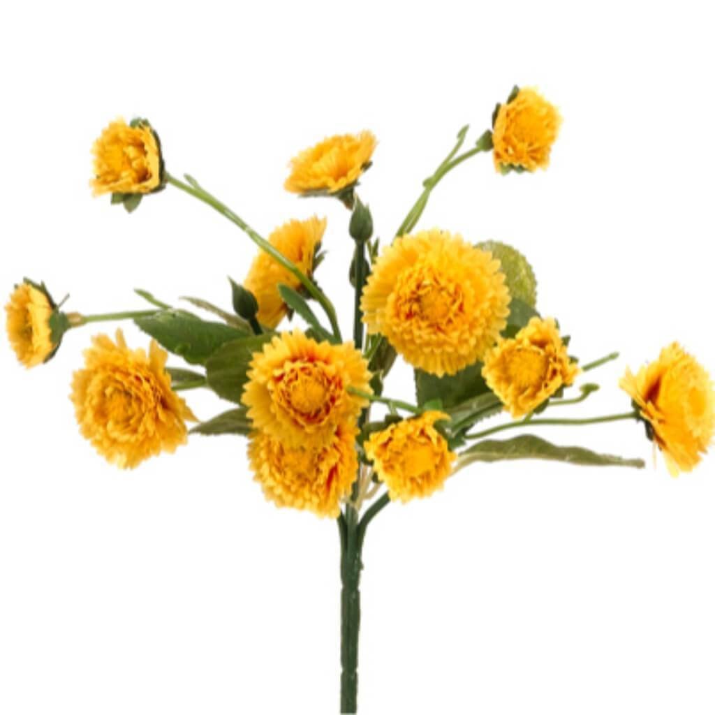 8.5&quot;Calendula Bush Ye 