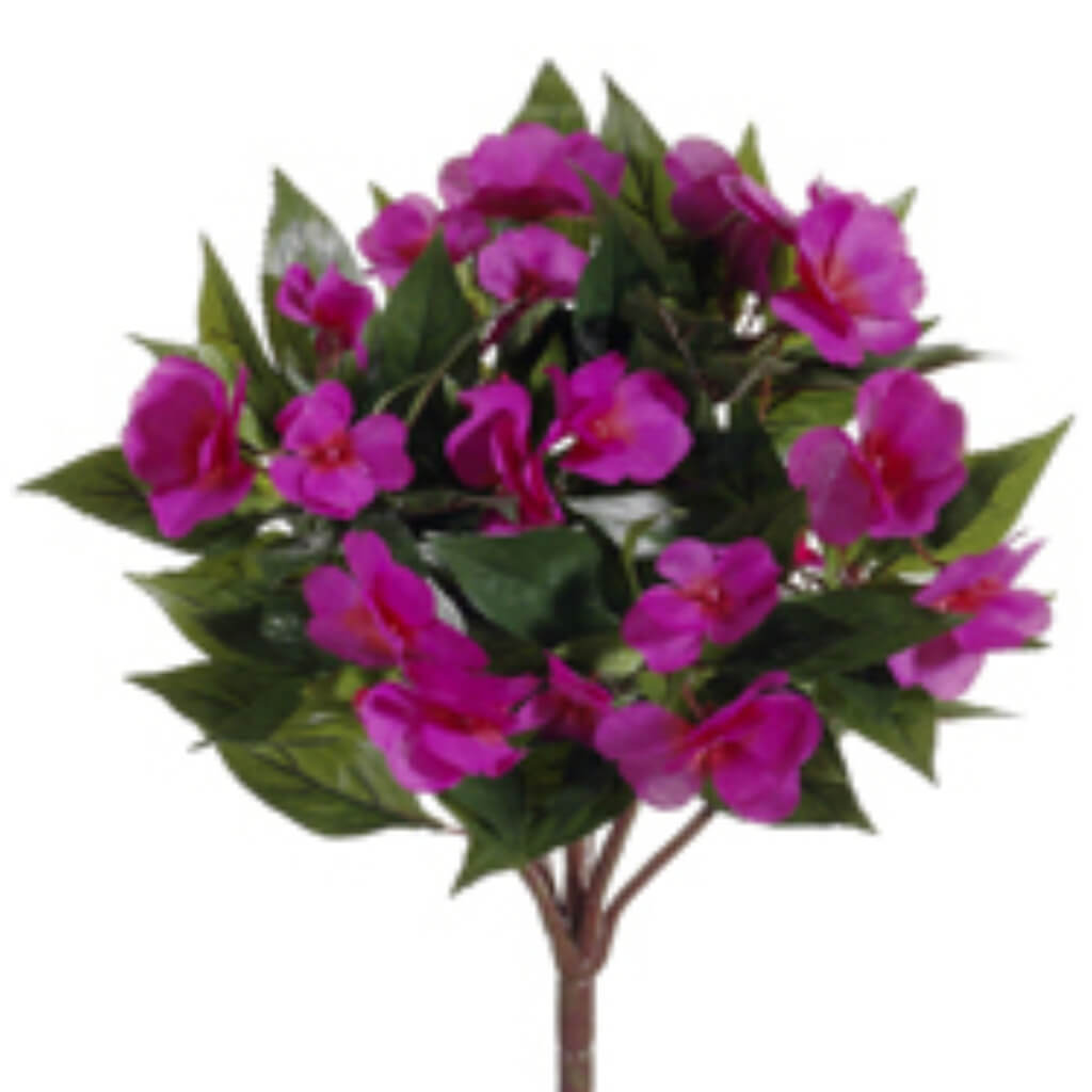 New Guinea Impatiens Bush Fuchsia, 13.7in