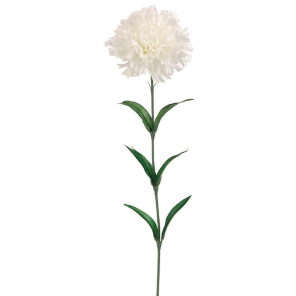 Carnation Spray 