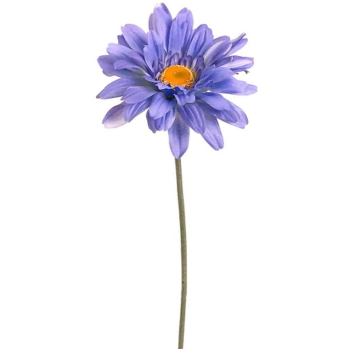 27"Gerbera Daisy Spray Bl/He 