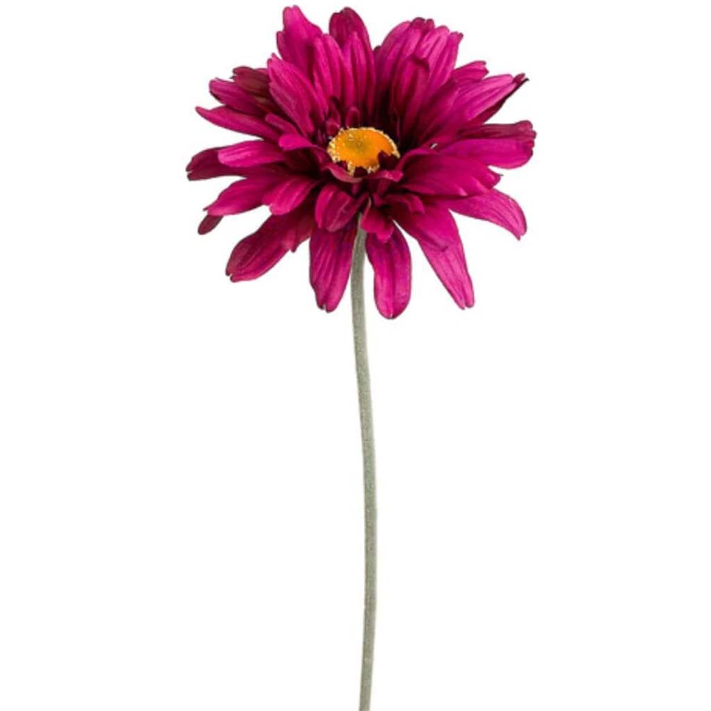 27&quot;Gerbera Daisy Spray Vi 