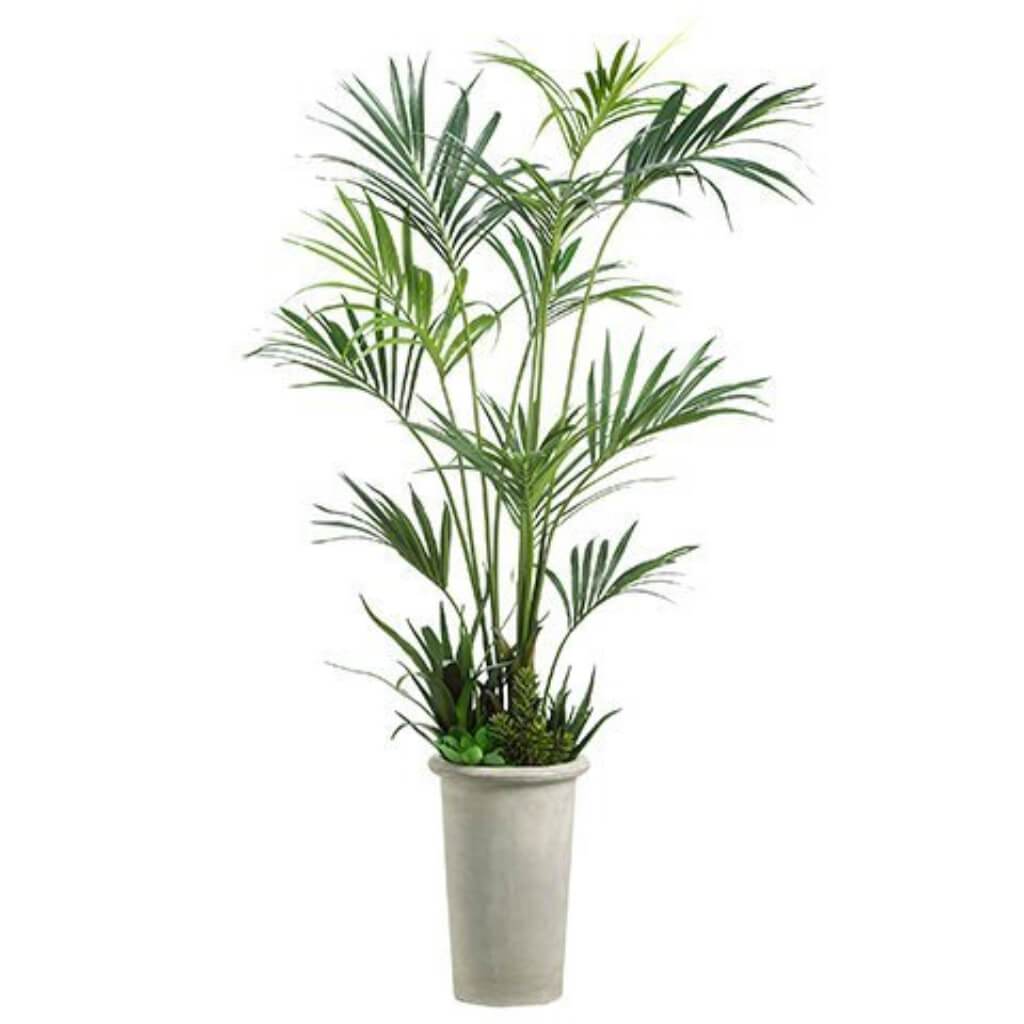 Kentia Silk Palm Fiber Cement Planter 8.5Ft