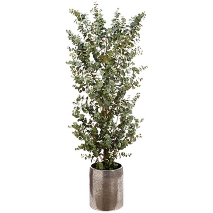 8' Eucalyptus Tree (Planter) 