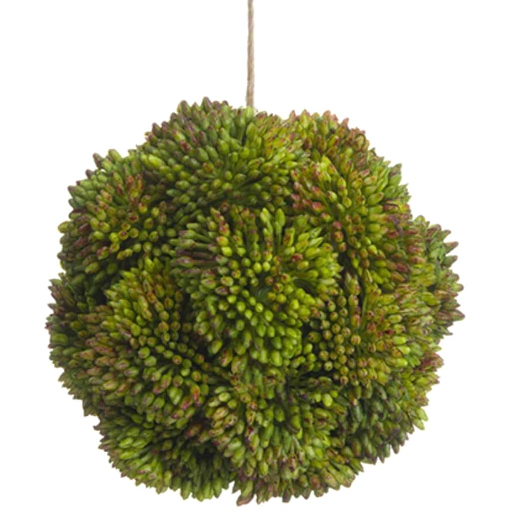 4&quot;Sedum Orb Gr 