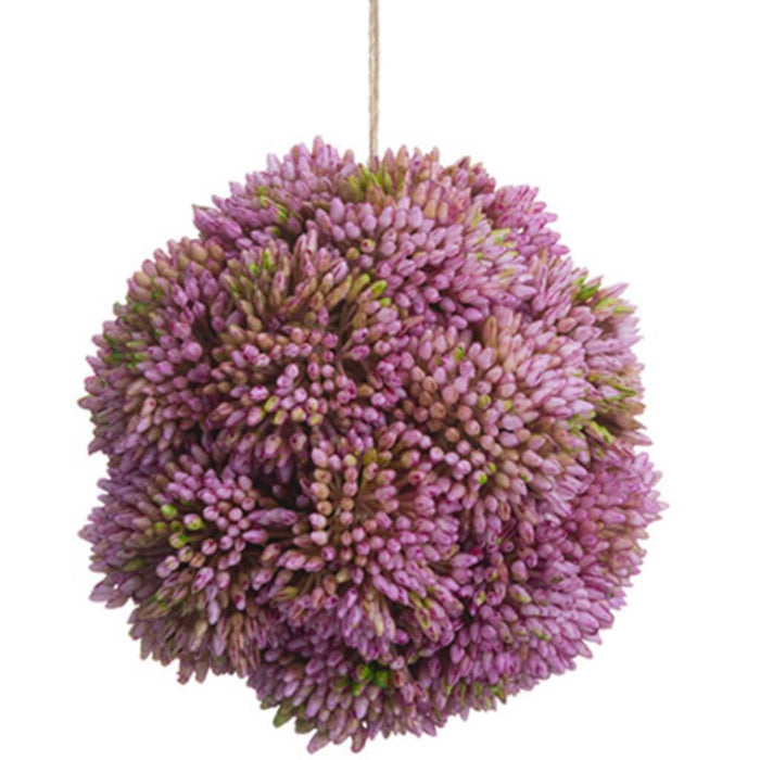 4"Sedum Orb Mv 