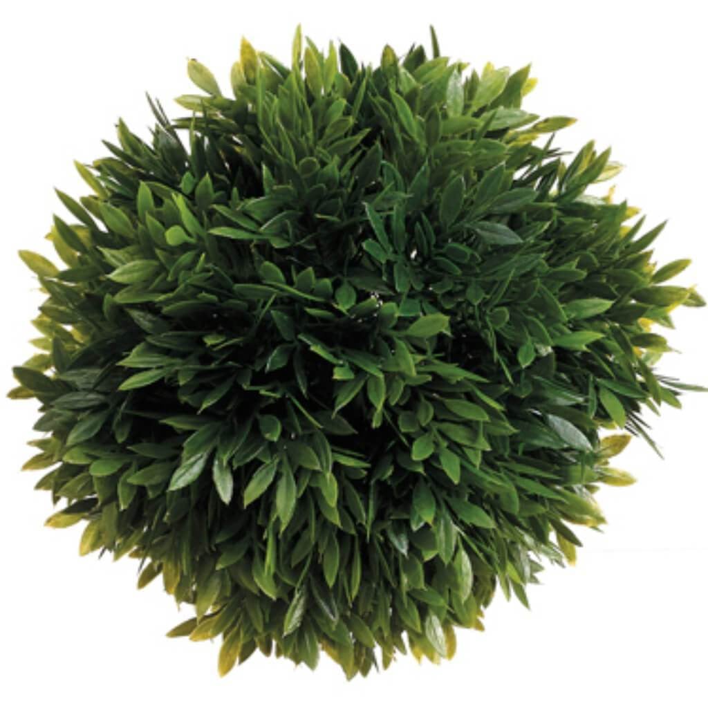 6"Tea Leaf Ball 67L Gr 