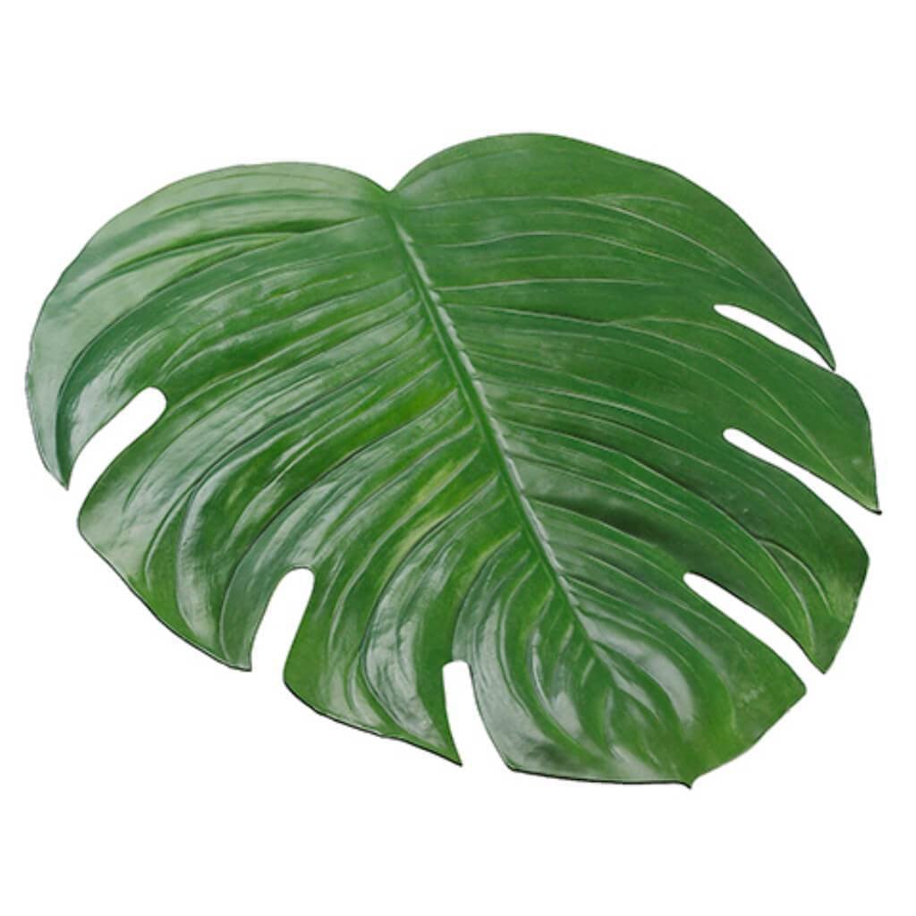 18W16.5"L Monstera Placemat Gr 