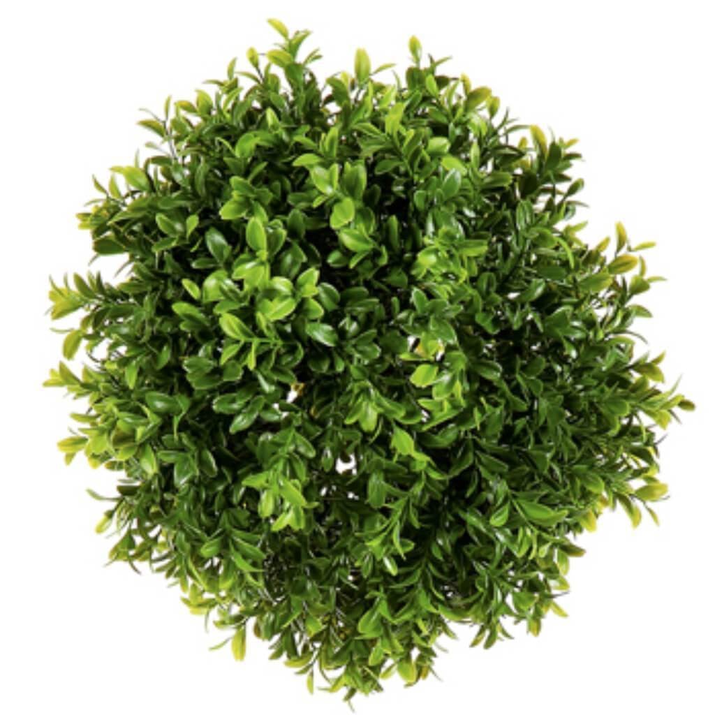 Boxwood Ball Green, 9.5in 