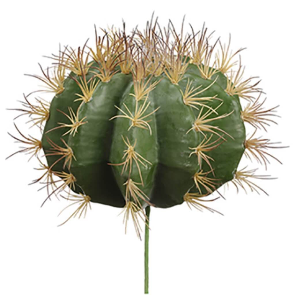 14"H9"D Soft Barrel Cactus Gr 
