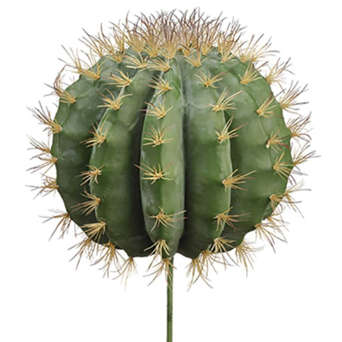 17"H10"D Soft Barrel Cactus Gr 