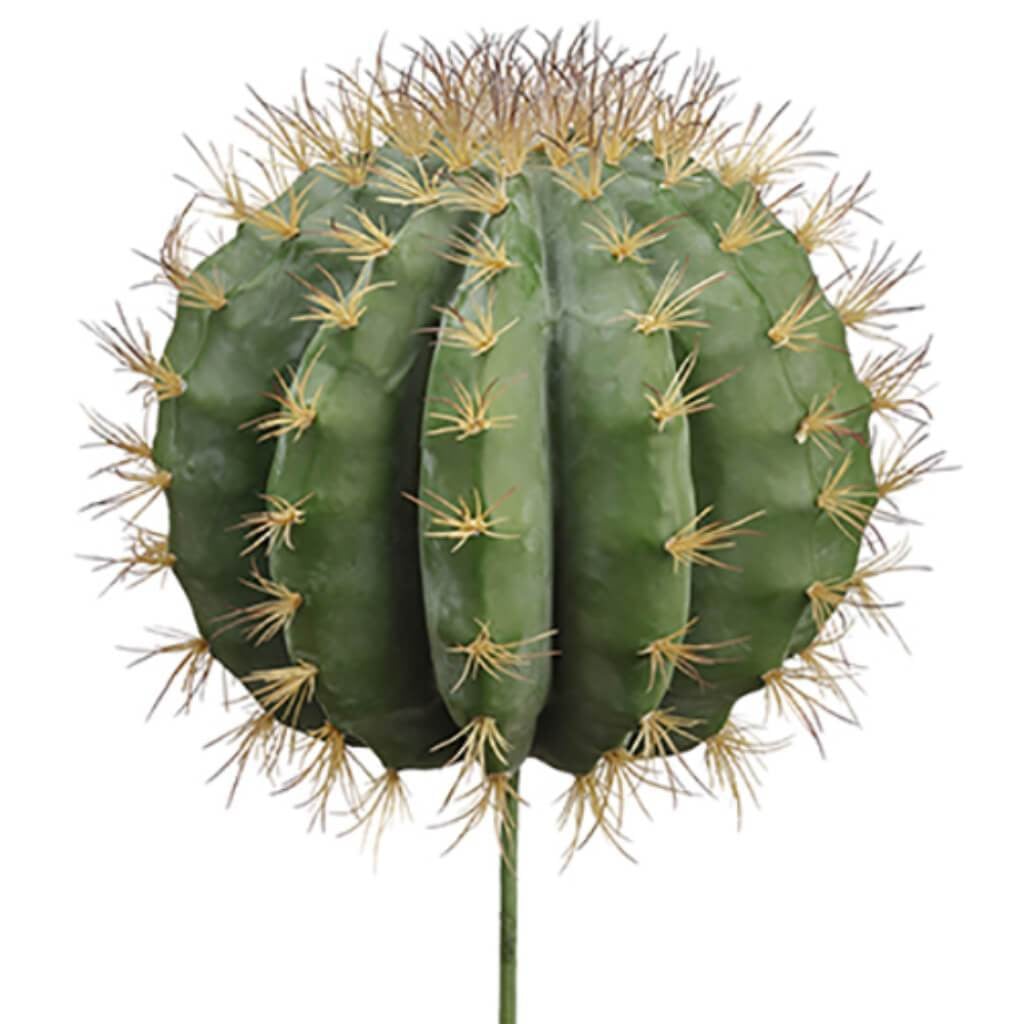 17"H10"D Soft Barrel Cactus Gr 