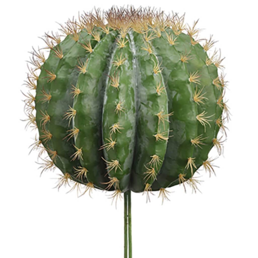 18"H13"D Soft Barrel Cactus Gr 