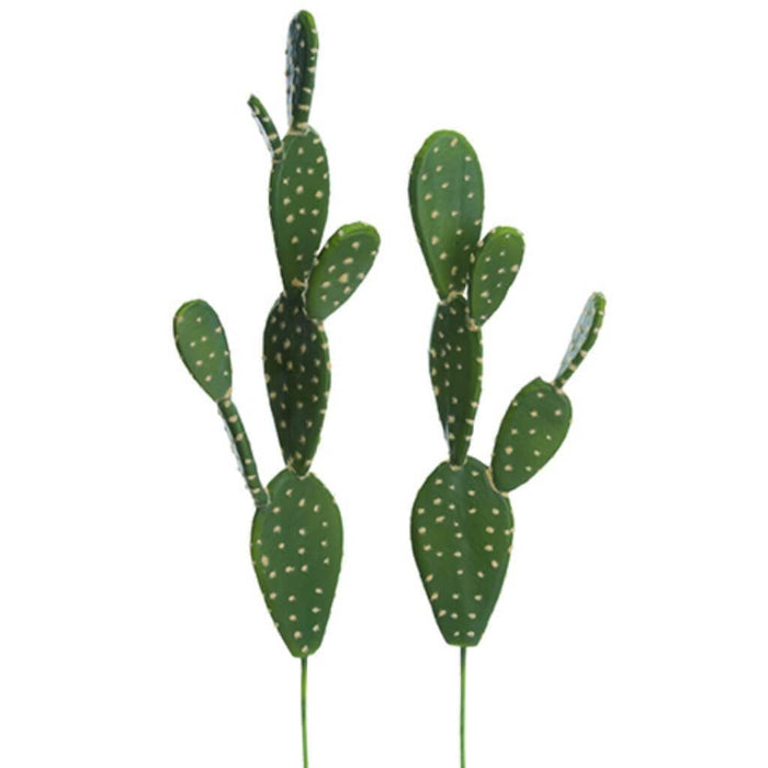 18.5"-21.5"Soft Cactus(2Ast/St 