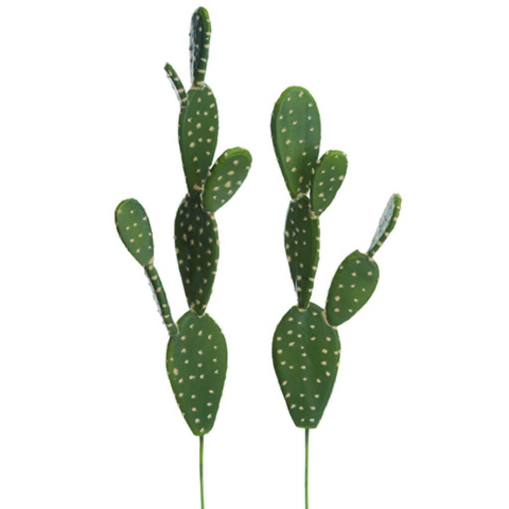 18.5"-21.5"Soft Cactus(2Ast/St 