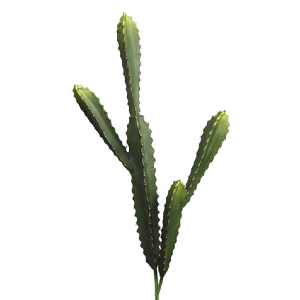 20"-26"Soft Cactus (2Ast/St)Gr 