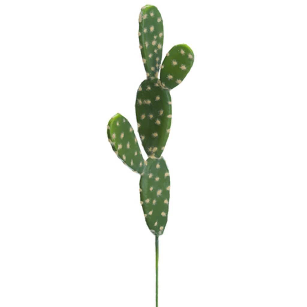 13.5"Soft Bunny Ear Cactus Gr 