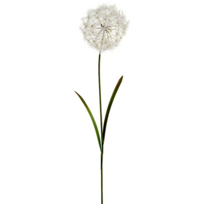 40"Dandelion Spray Cr 