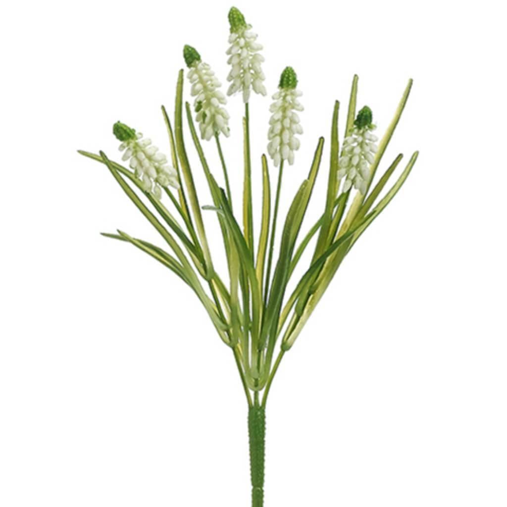 12.5"Muscari Pick Wh 