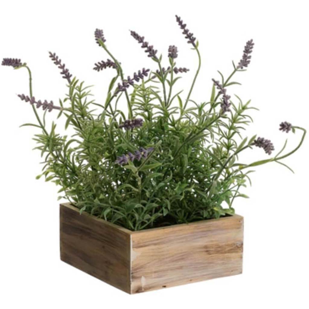 12.5&quot;Lavender In Wood Pot Lv 