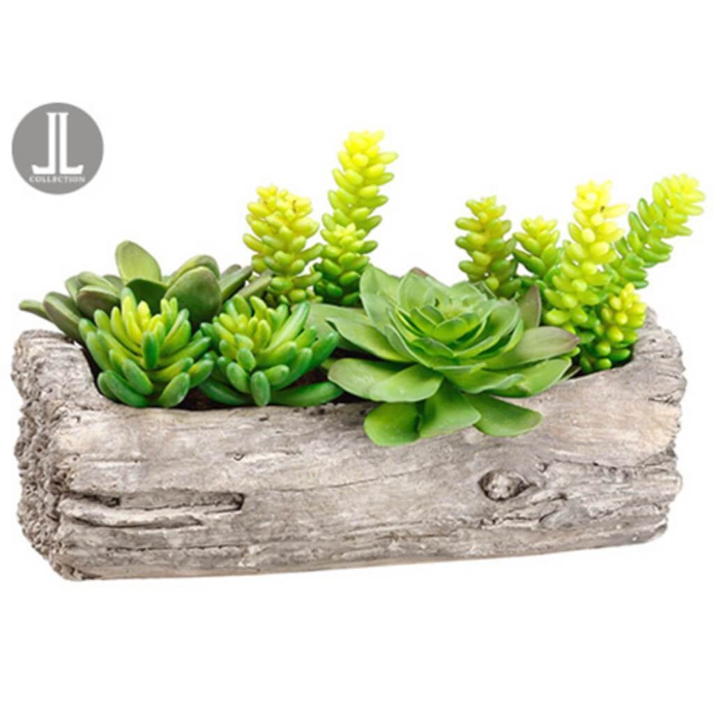 8&quot;Succulent Garden In Log Gr 